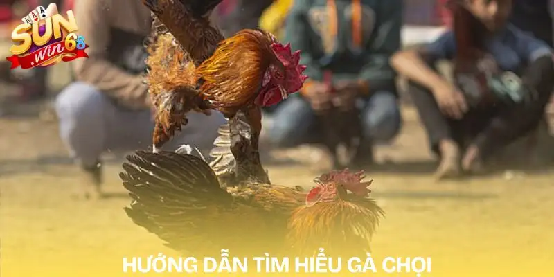 Những Khó Khăn Khi Tìm Hiểu Cách Chơi Đá Gà Online Năm 2026 3 cach-choi-da-ga-online-huong-dan-tham-gia