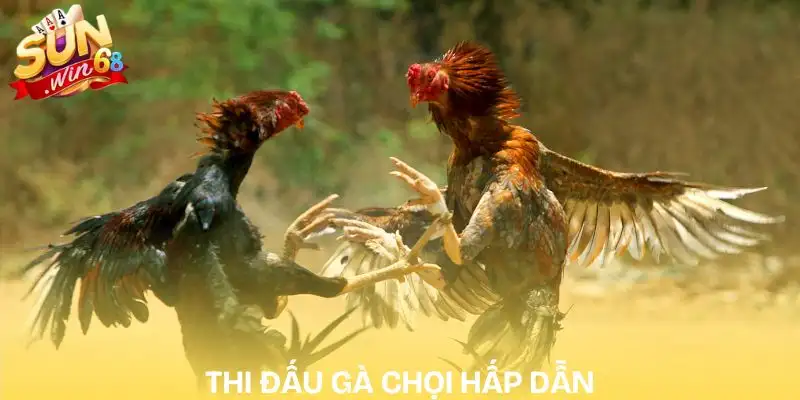 da-ga-sunwin-thi-dau-cua-sat